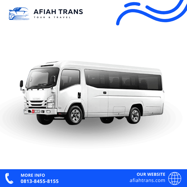 afiahtrans-elf-long